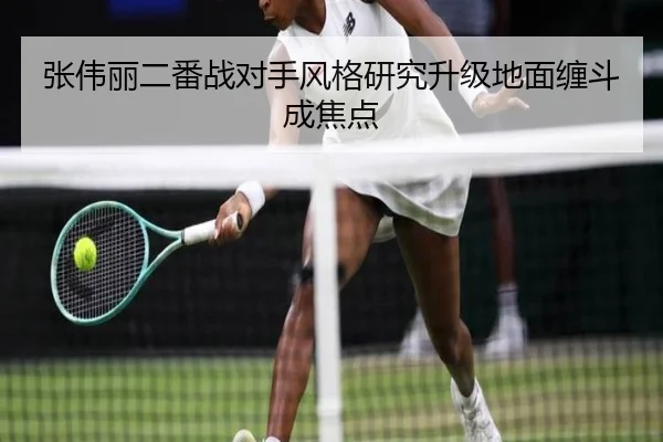 张伟丽二番战对手风格研究升级地面缠斗成焦点